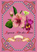 Fleurs exotiques pour une maman sp&eacute;ciale